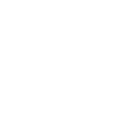 SCHOEMIG PORZELLAN